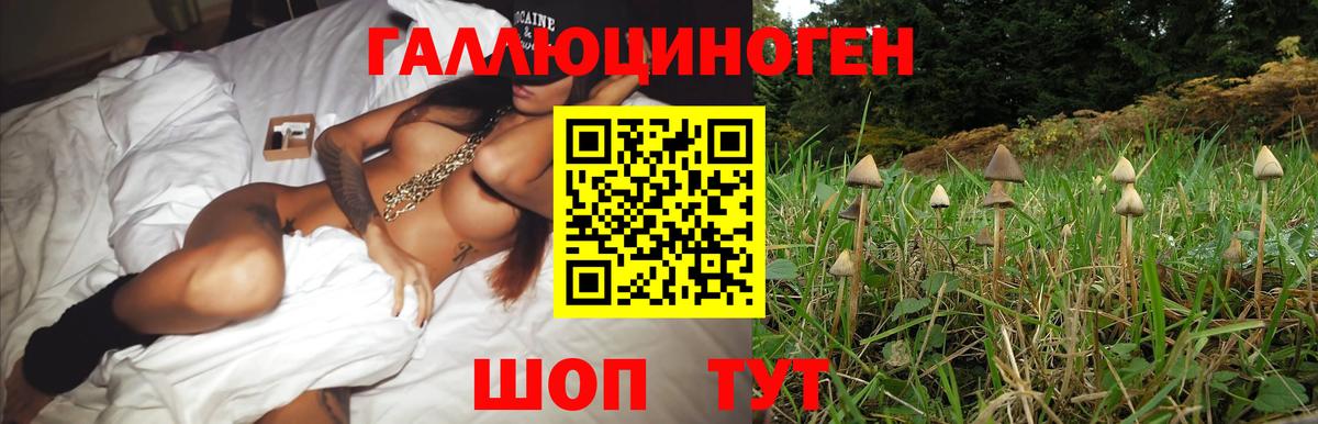 Псилоцибиновые грибы Magic Shrooms Изобильный