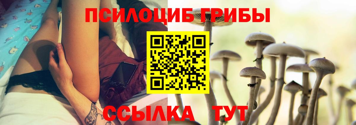 где найти наркотики  Галлюциногенные грибы Psilocybe  Вход с VPN  Изобильный  Псилоцибиновые грибы MAGIC MUSHROOMS 
